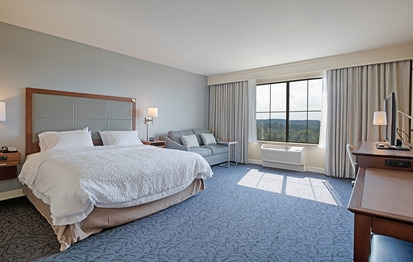 Hotel Hampton Inn & Suites Cazenovia, Ny